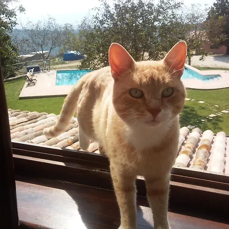 Nyaraló Casa Vacanze Montenibbio *